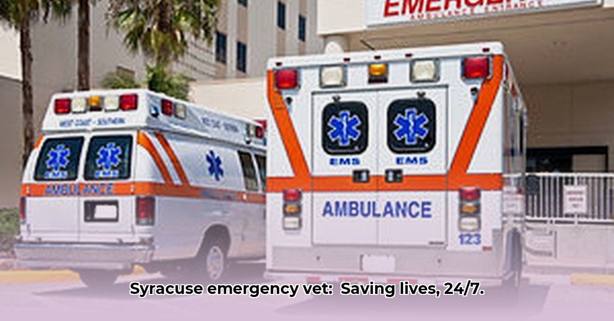 emergency-vet-syracuse